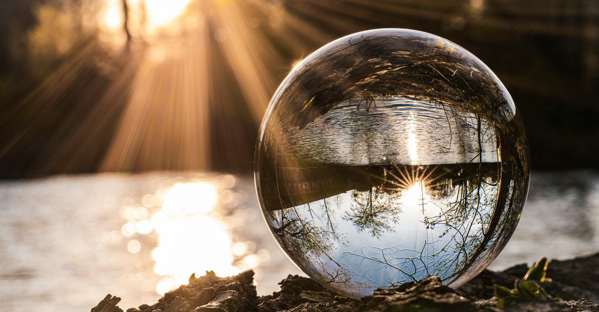 crystal ball in the woods, Sheaff Brock investment advisors blog, retail consumers